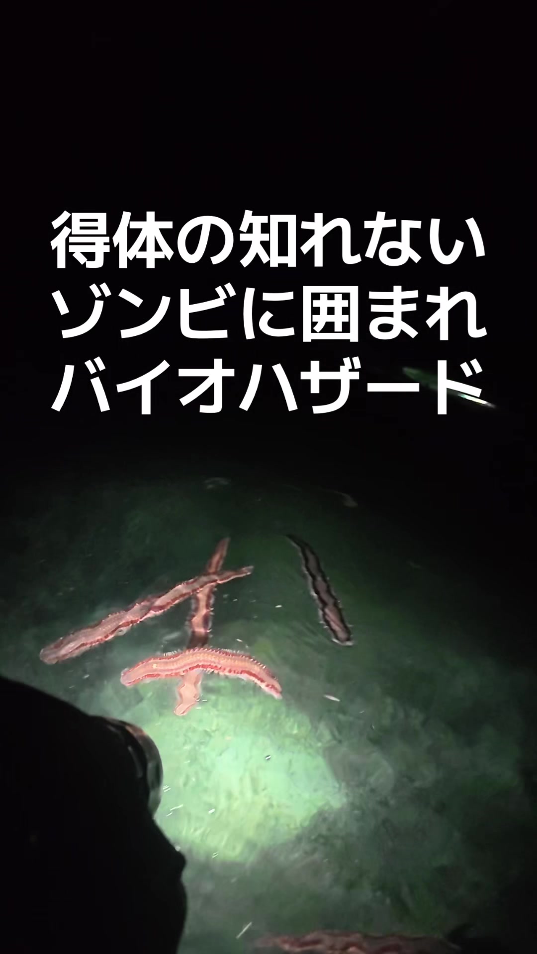 @エルドラド