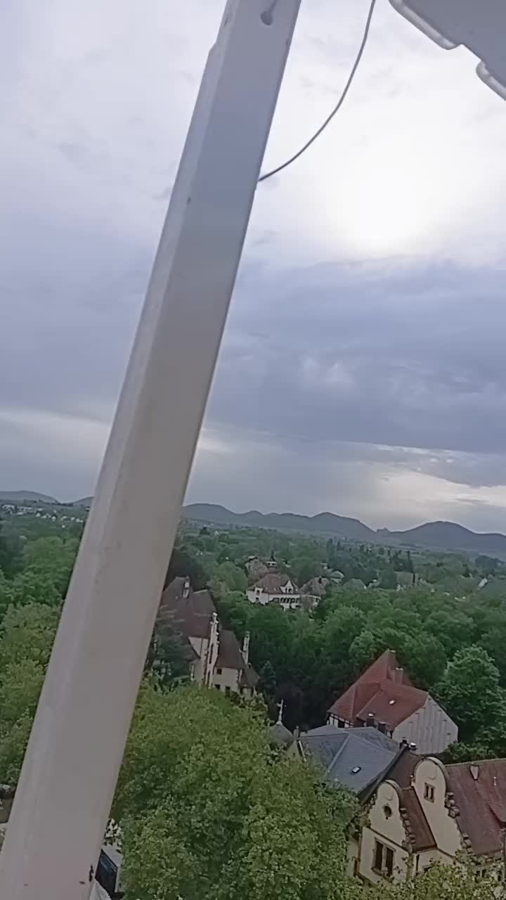 @regele nr 1