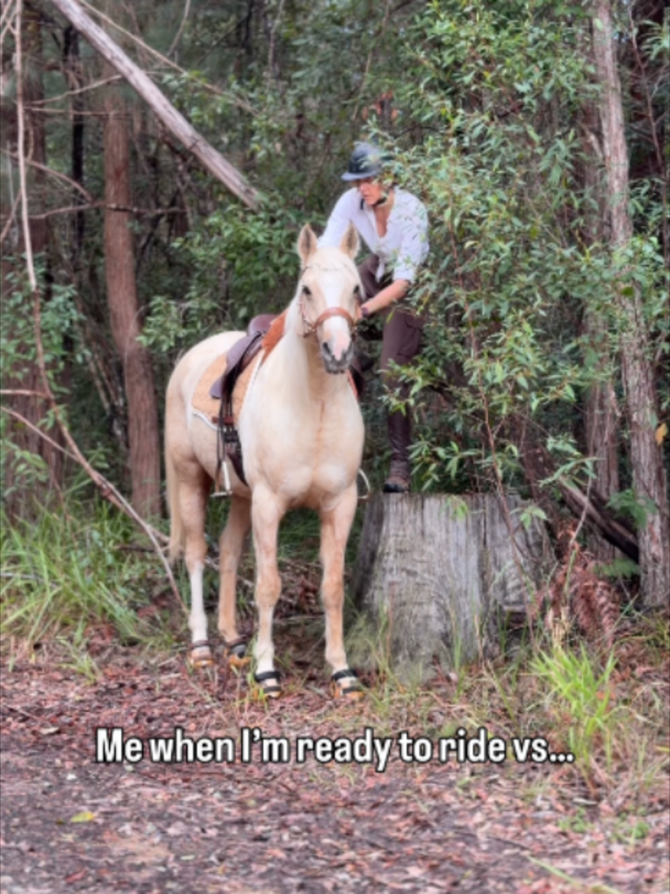 @Myhorsewillow