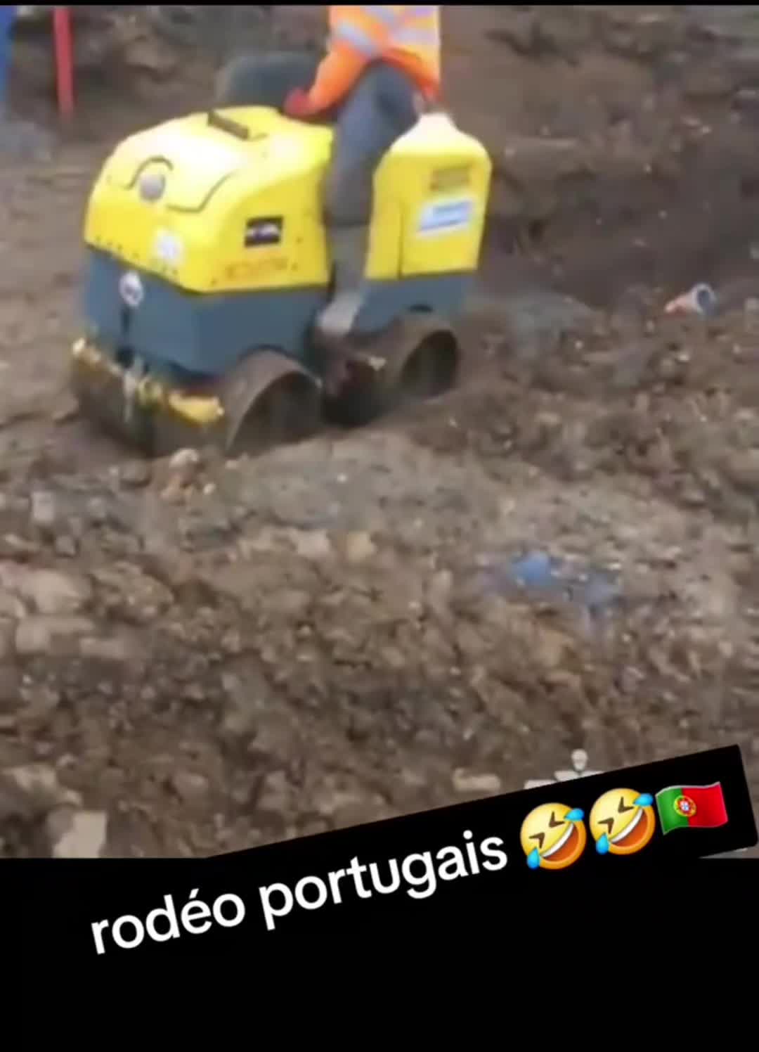 @lucio78