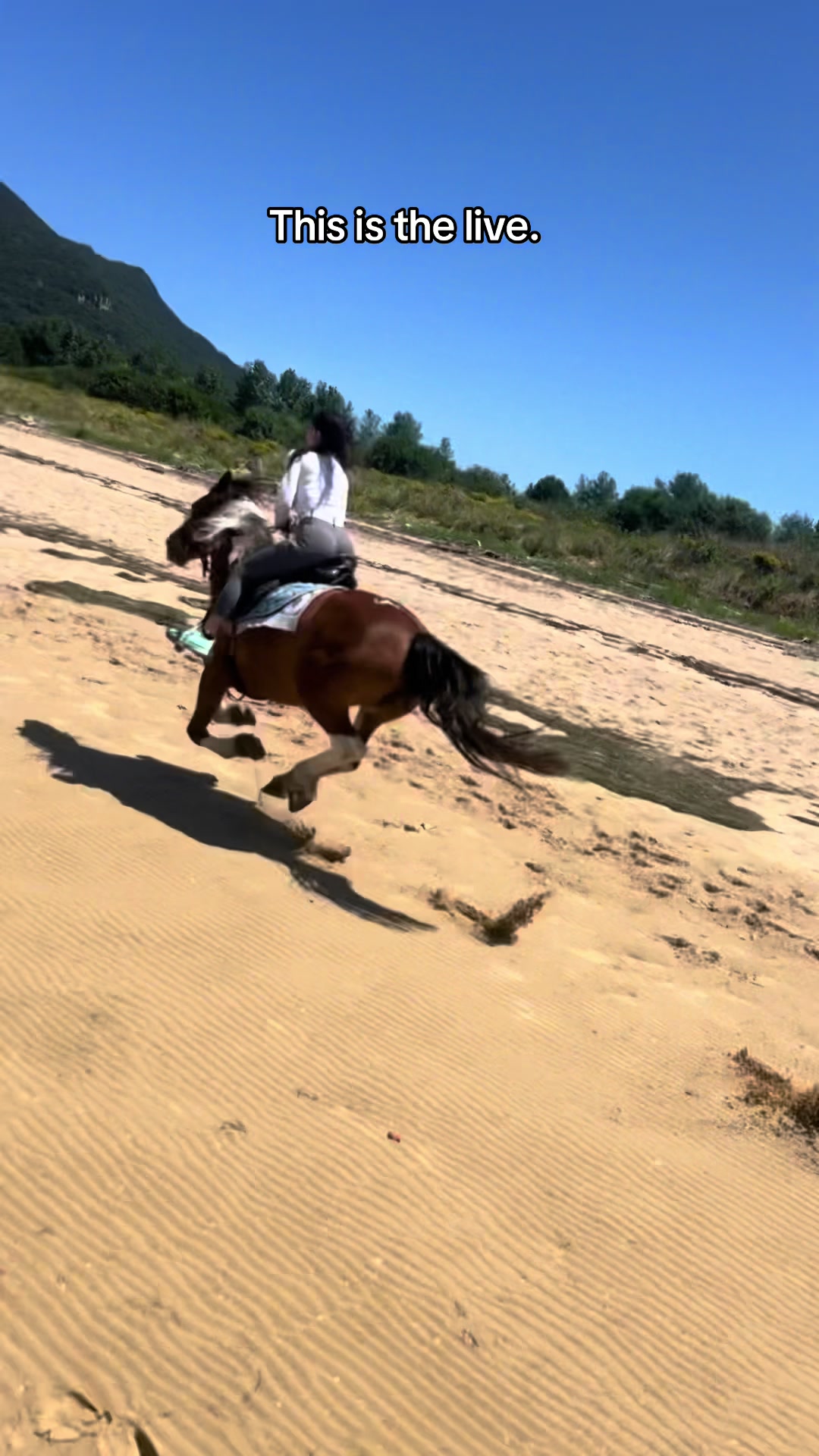 @KaliEquestrian🐎