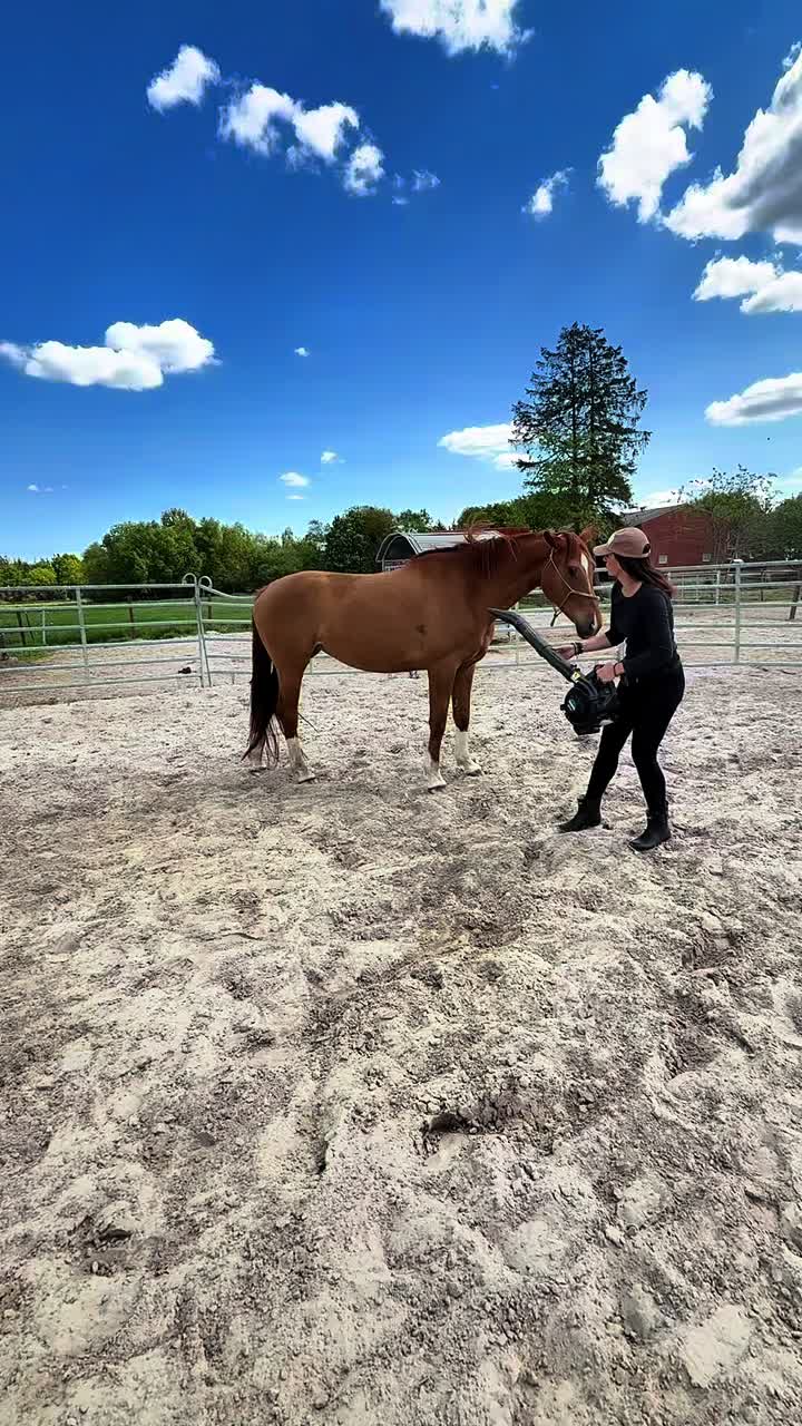 @Svenjaundclippy