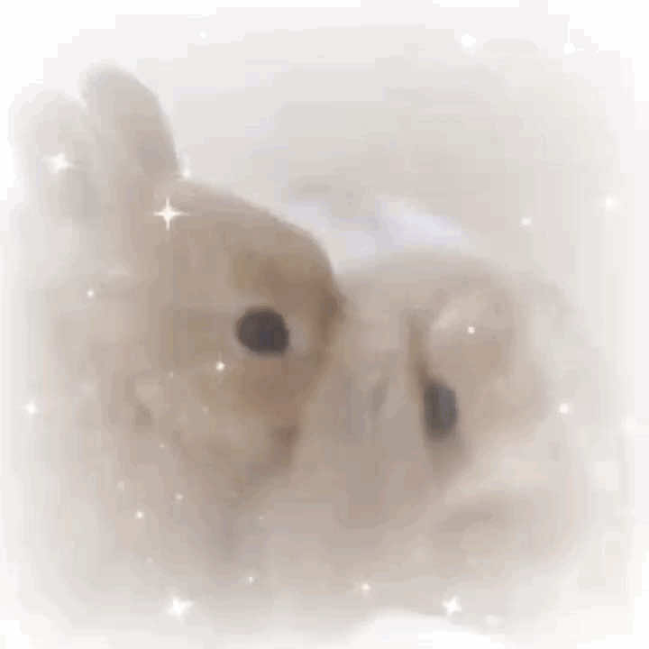 @lucy⋆˚࿔ 𝜗𝜚˚⋆
