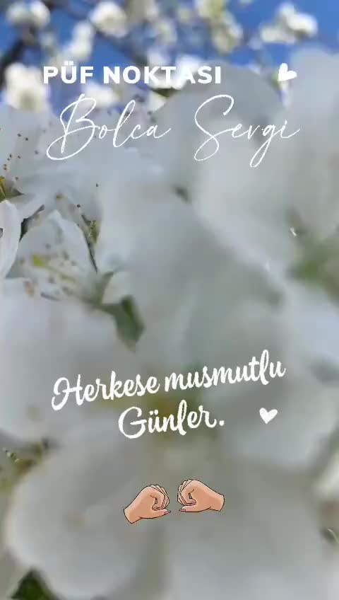 @꧁༺ 👑 SEVDA 👑 ༻꧂