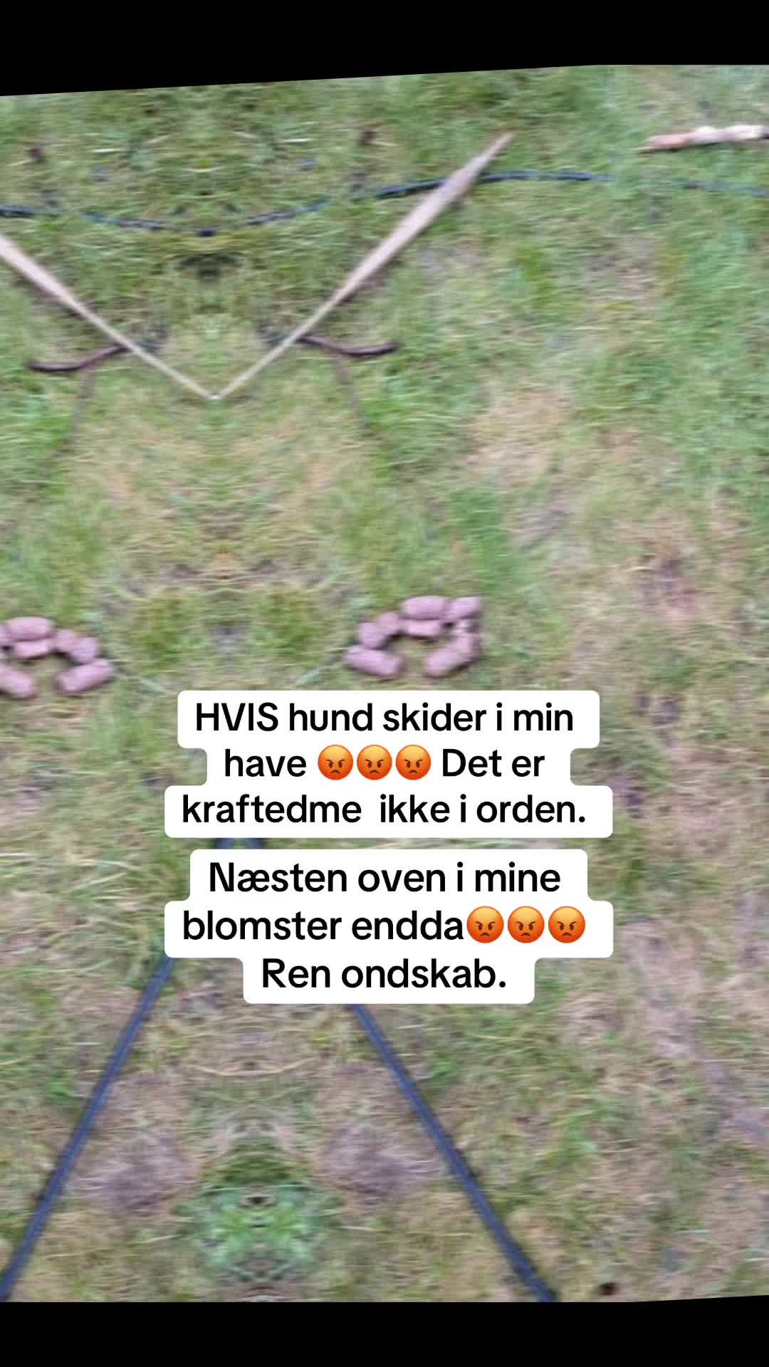 @Tante Rigmor 🌻