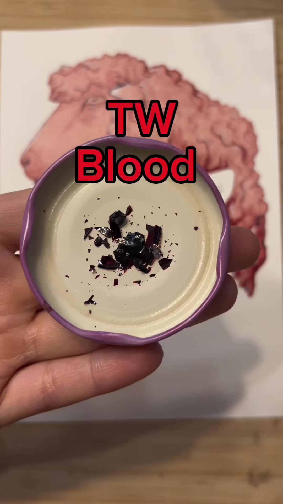 @blood_and_lucy