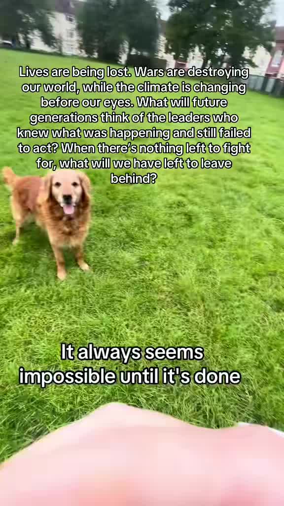 @Happy buddy