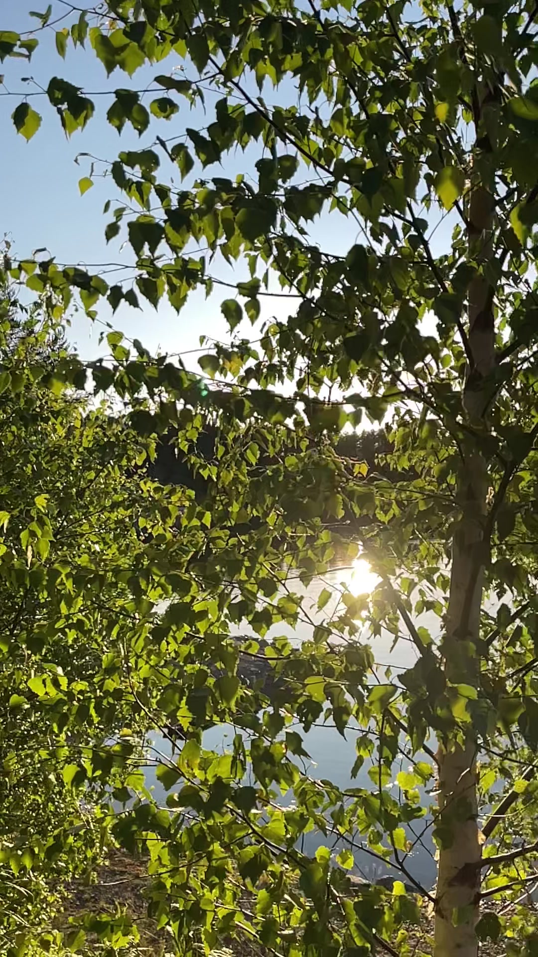 @Nature in Norway