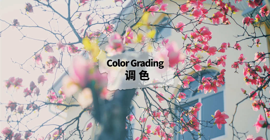 @Mr.Lu 卢