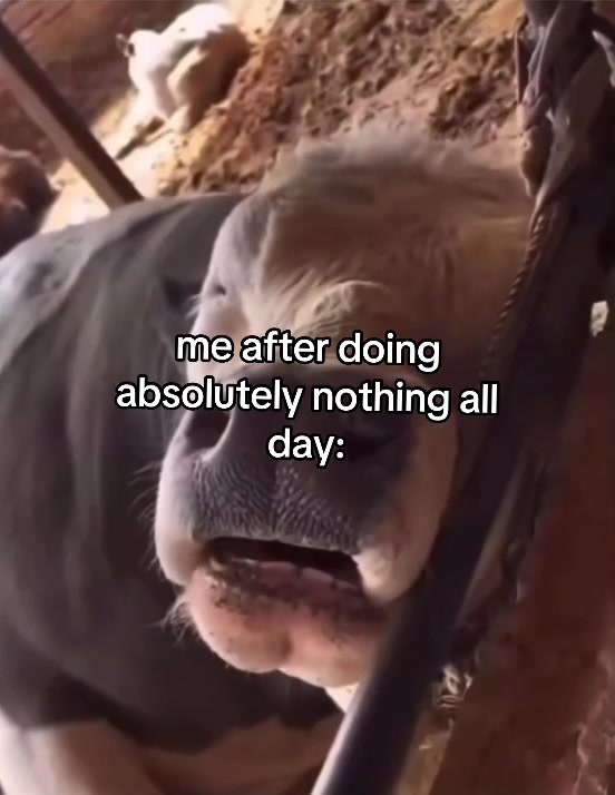 @A