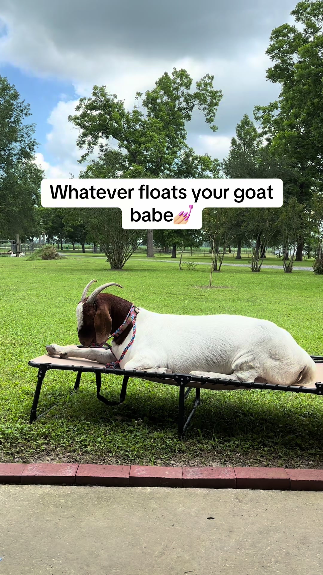 @Sarah ;)