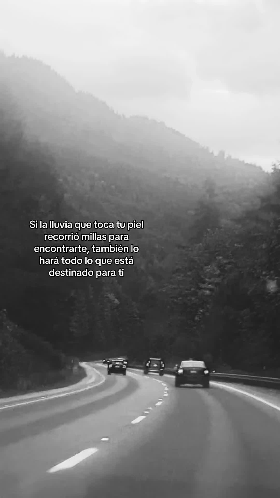 @Little things of life 💚
