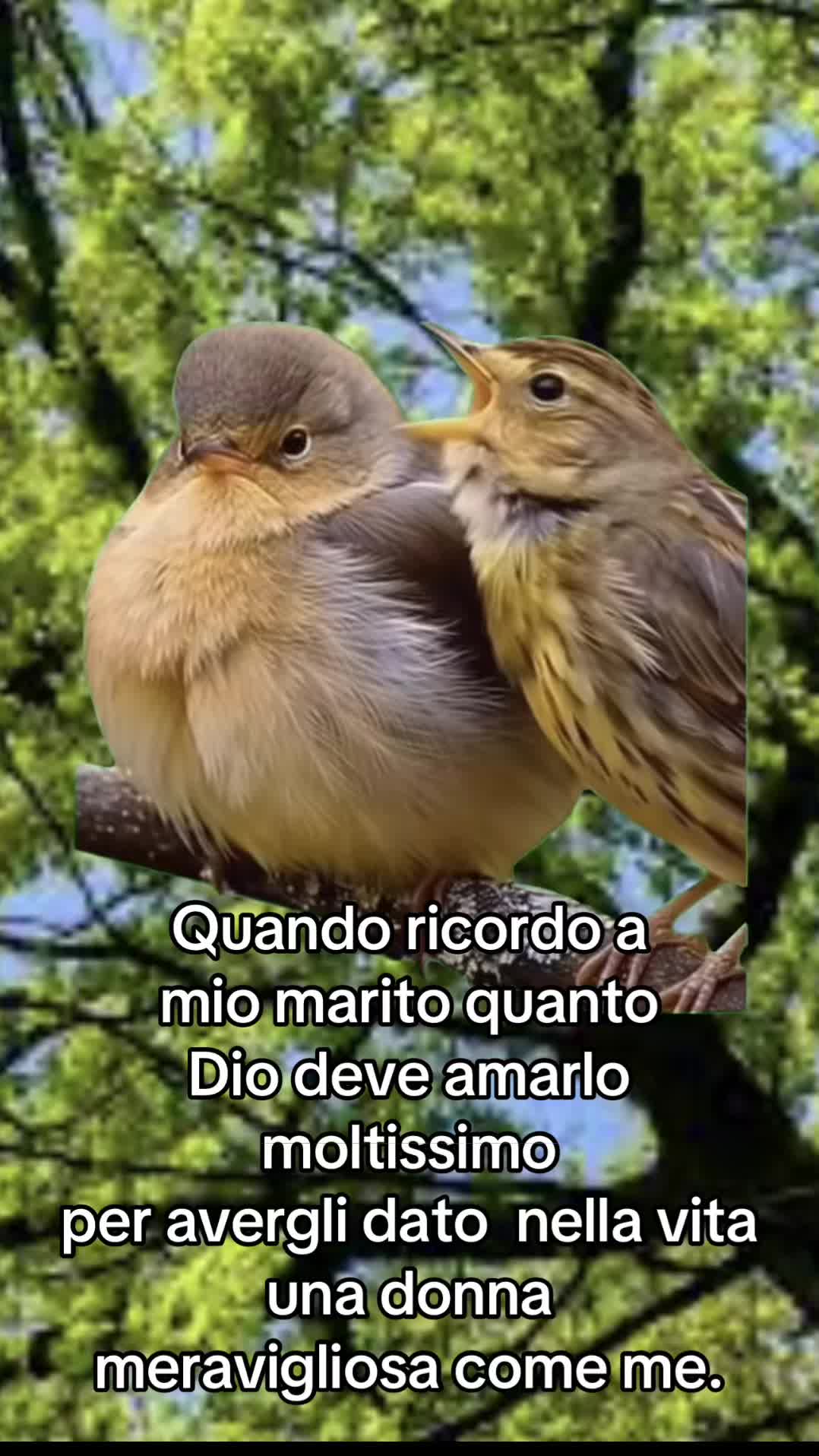 @💎Emanuela80🐾💎