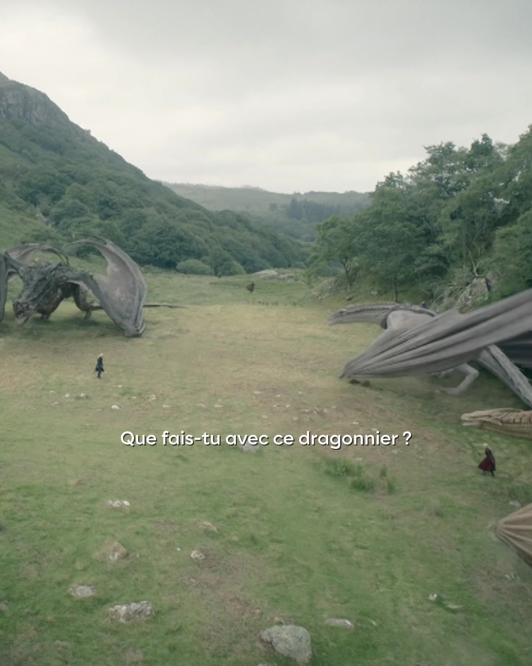 @HBO Max France