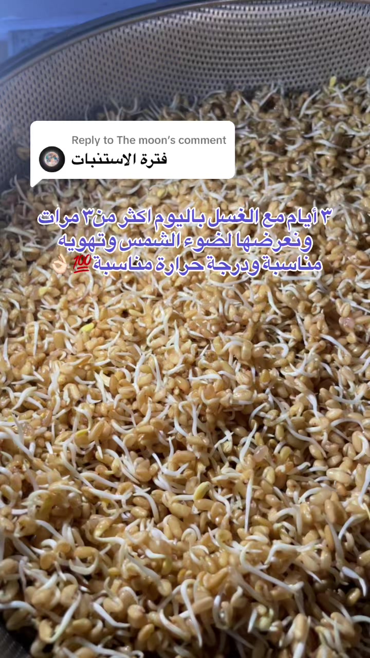 @رِقــة | RIQA