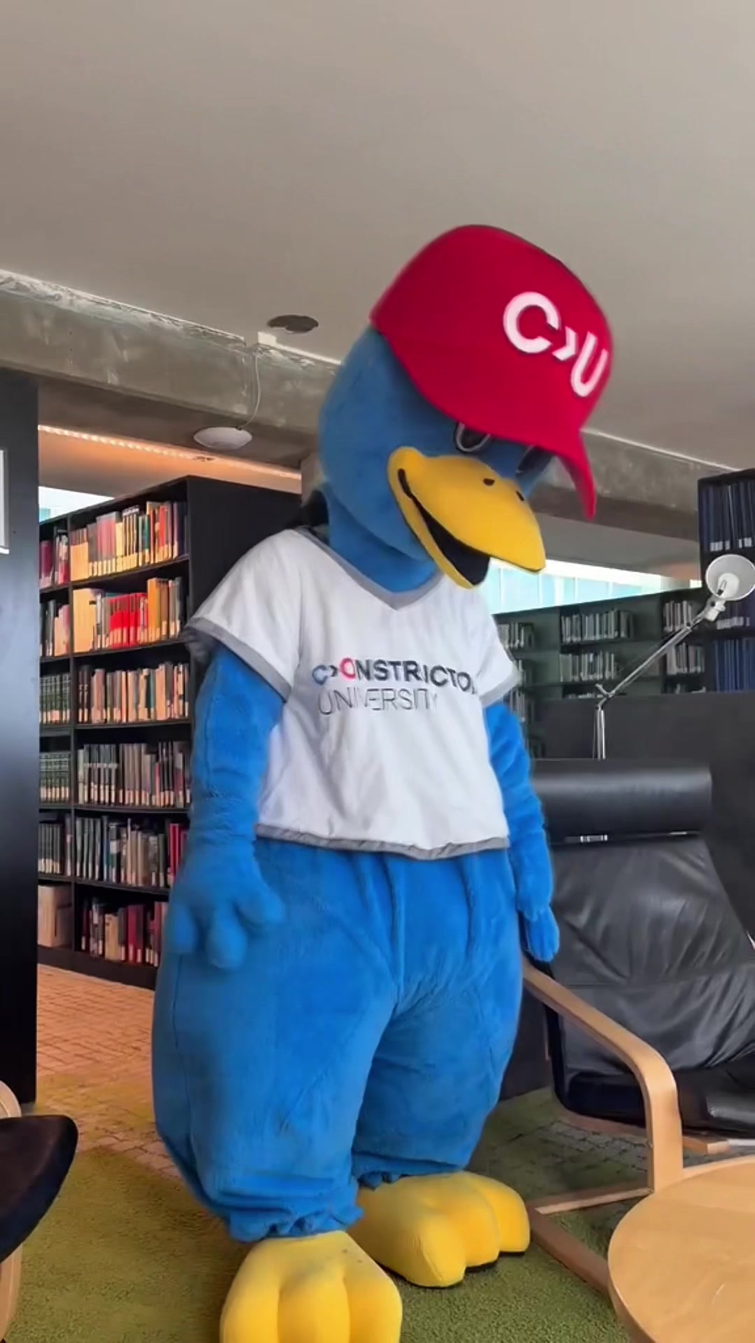 @Constructor University