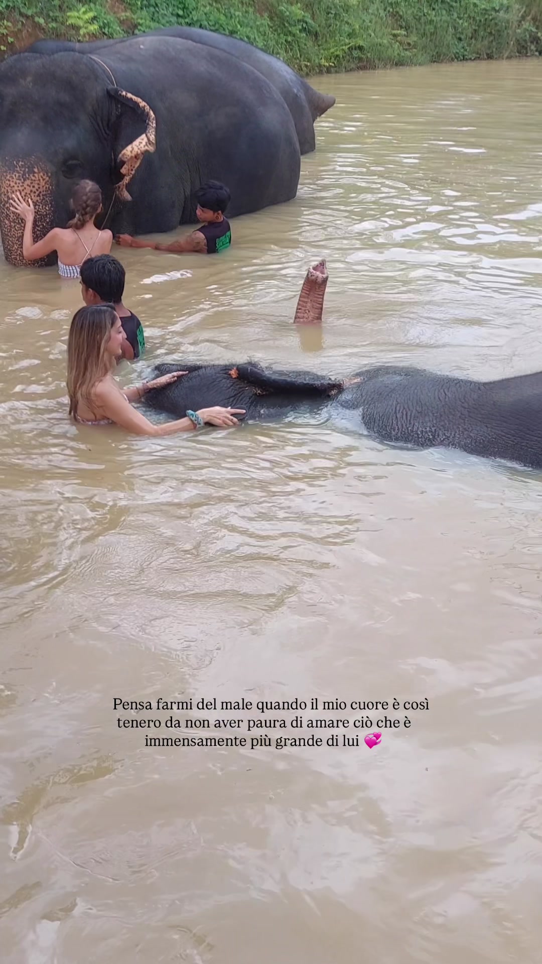 @federica.fois