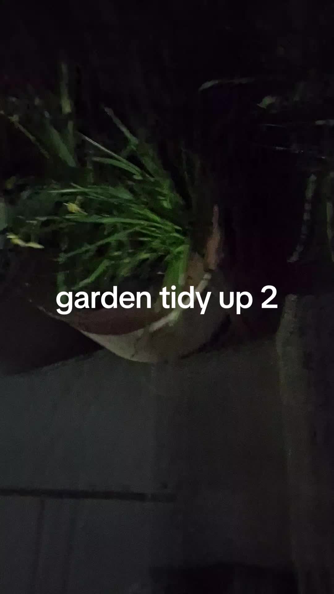 @wkd42