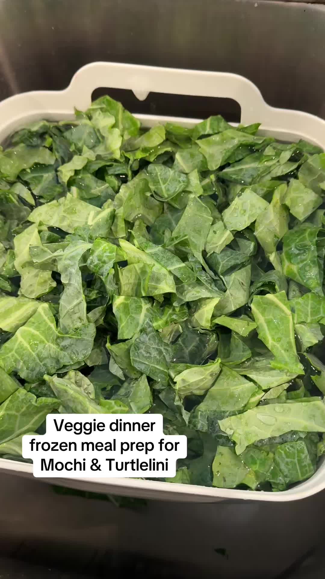 @JaimeLyn