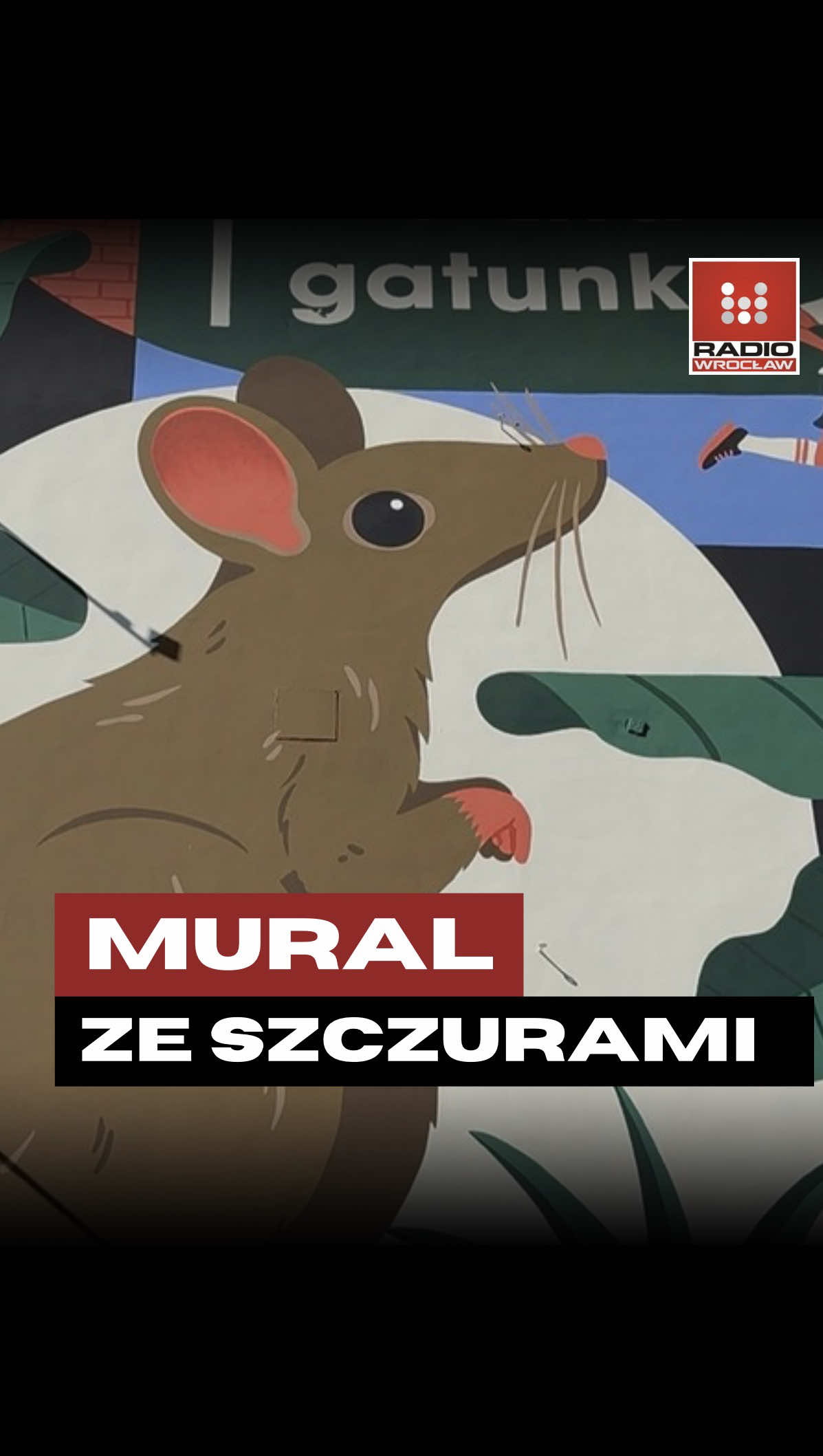 @Radio z Dolnego Śląska