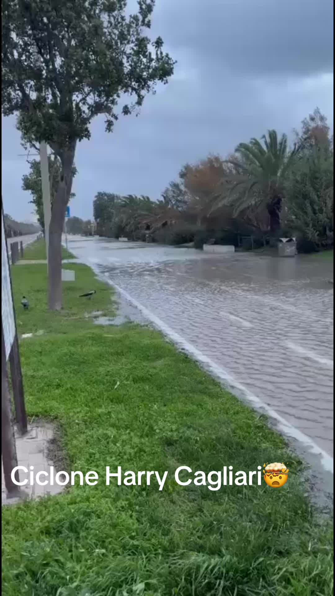 @BubaModoGiusto