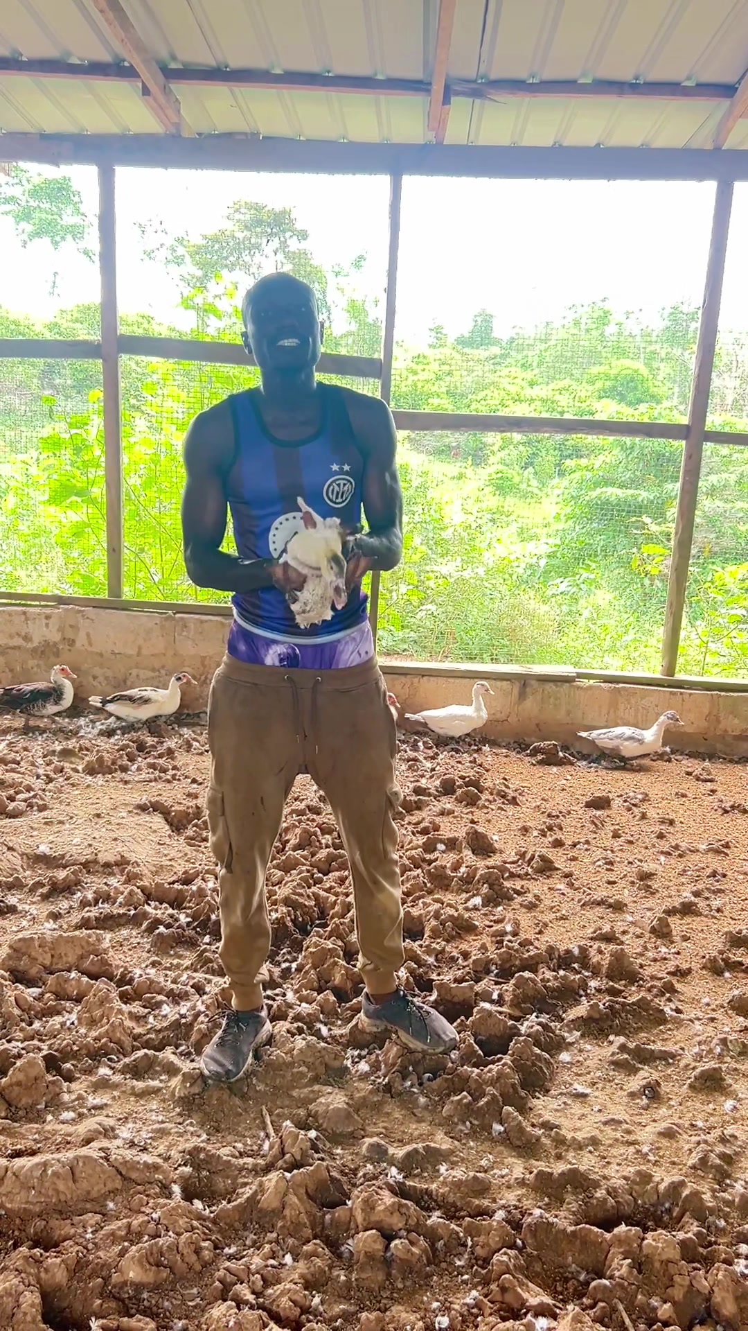 @STDFarms Ghana