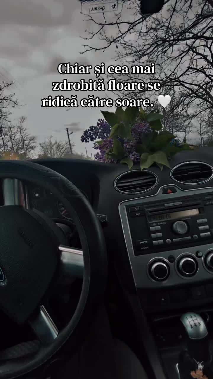 @.🤎💎🧿_MariANA_🧿💎💚.