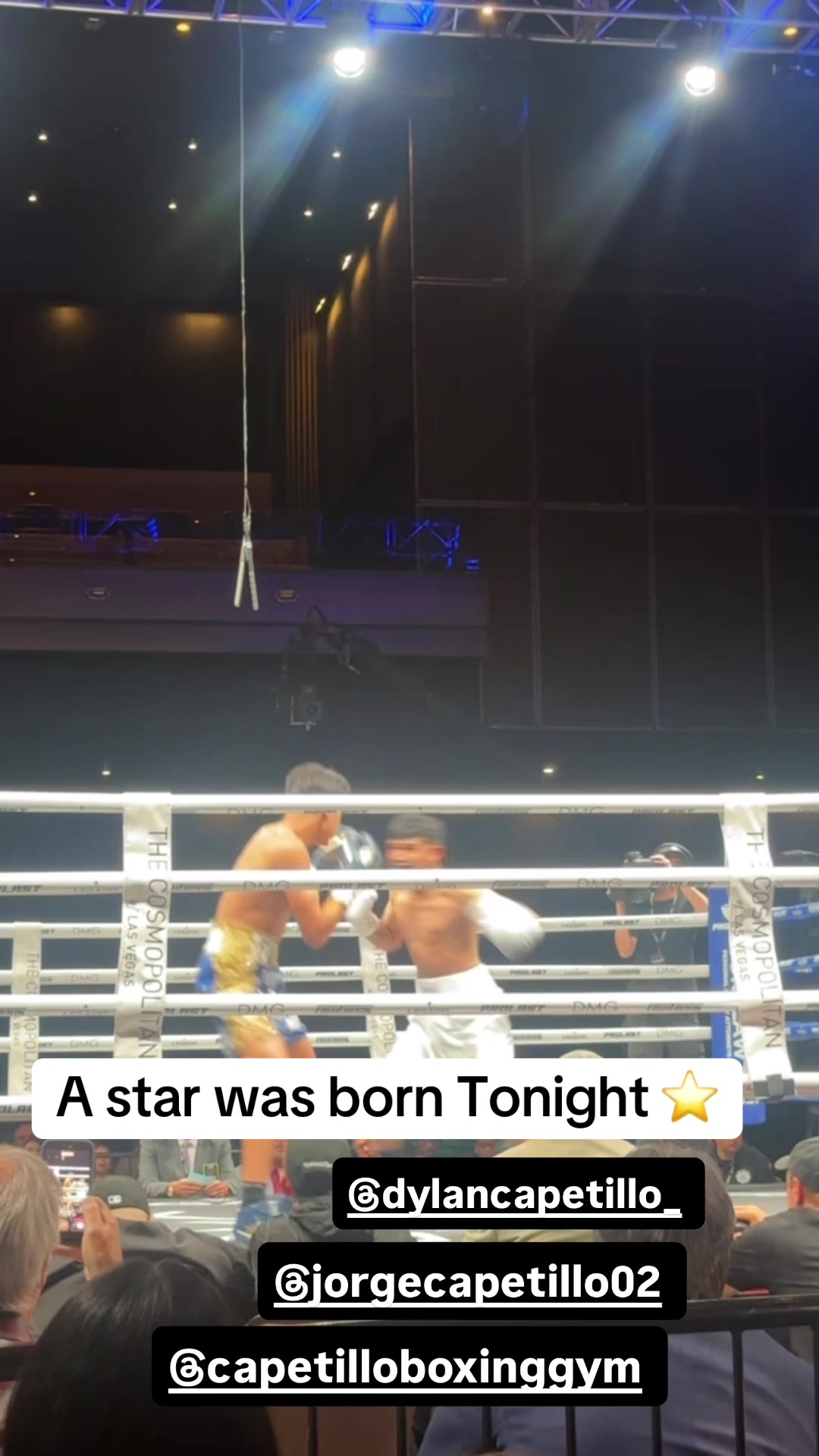 @fightnightbox1ng