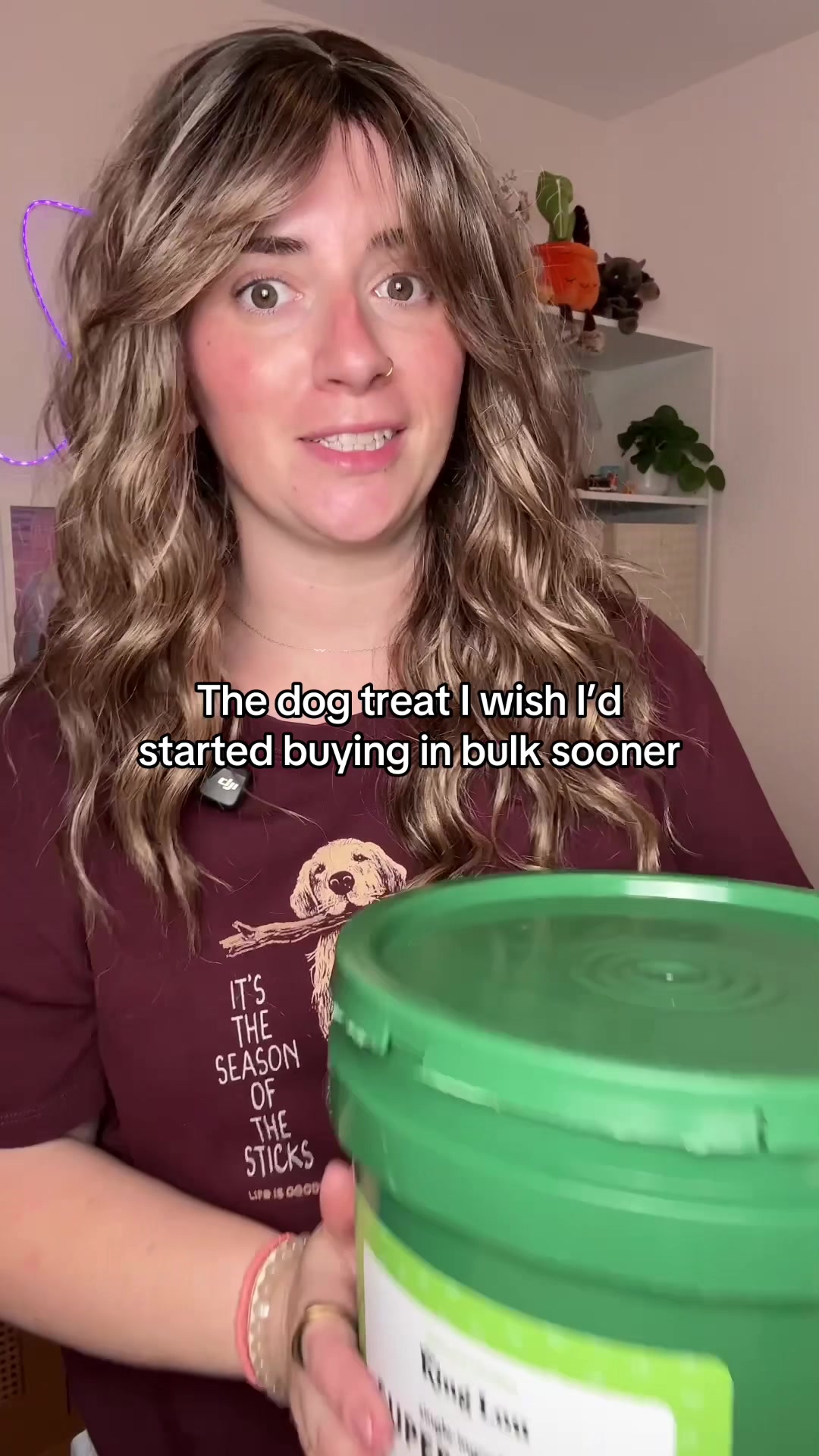 @Chelsea | Dog & Toddler Mom