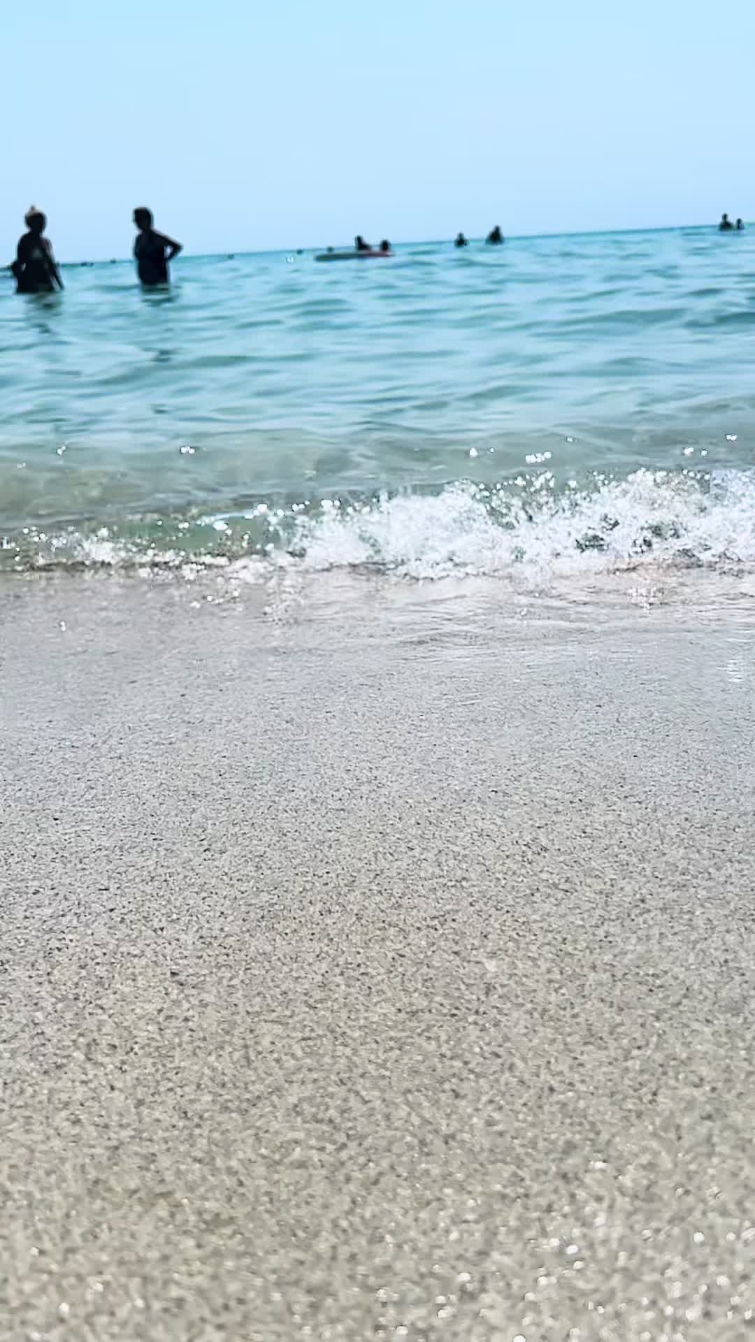 @Valentina La Torre