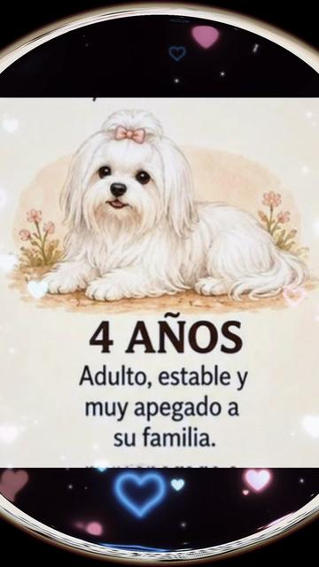 @🇨🇺/ Martha /🇺🇸