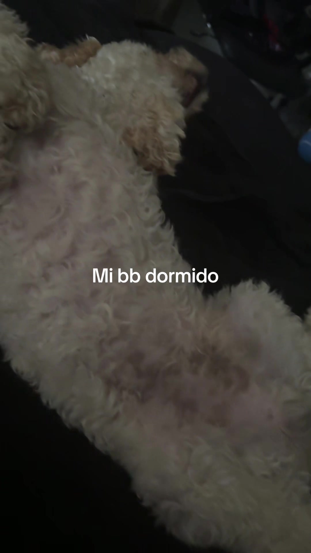 @arnol