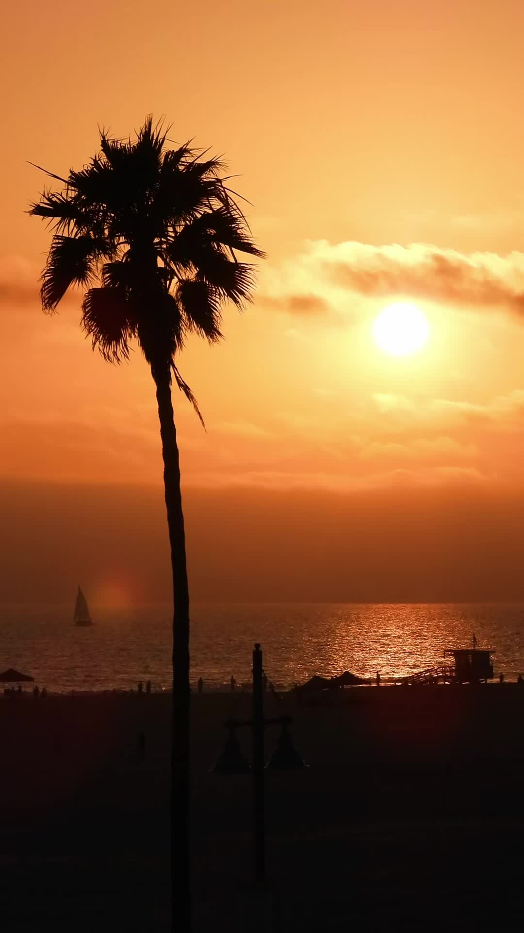 @Venice Beach Boardwalk