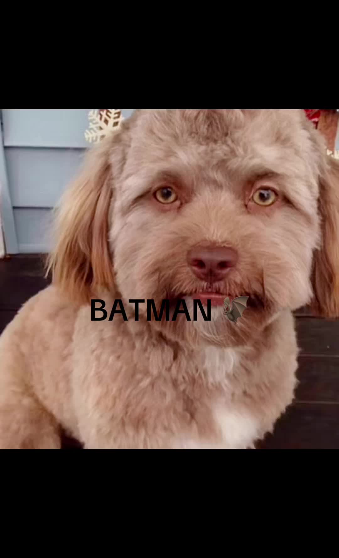 @โชโ๐พ๐โ
