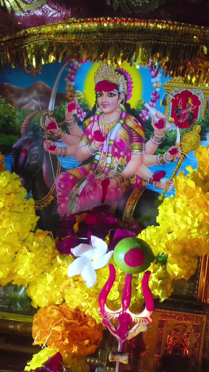 @JAY MATAJI 🙏🏻🙏🏻🙏🏻