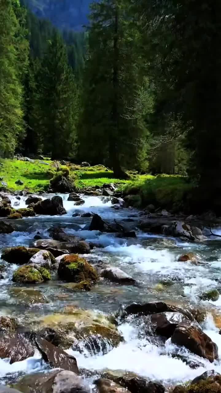 @Mountain_lover58599