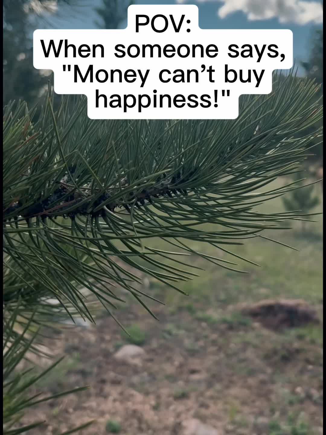 @thatguy17760704