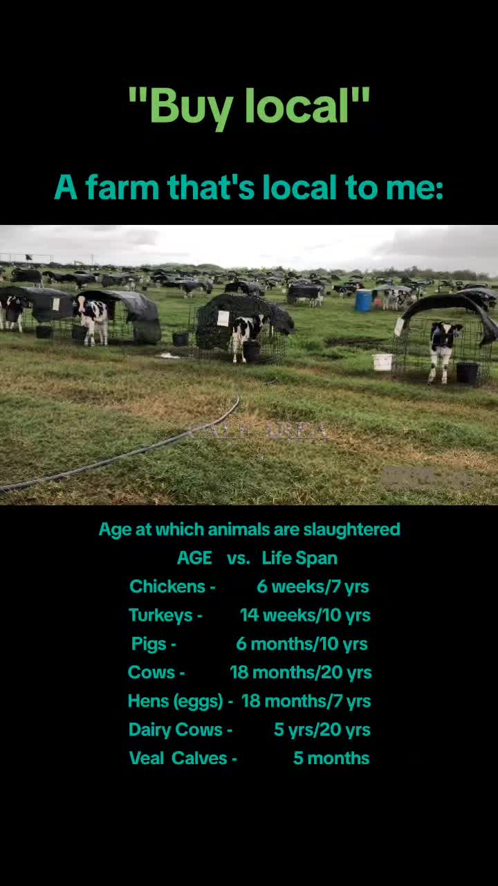 @Khaby Go Vegan