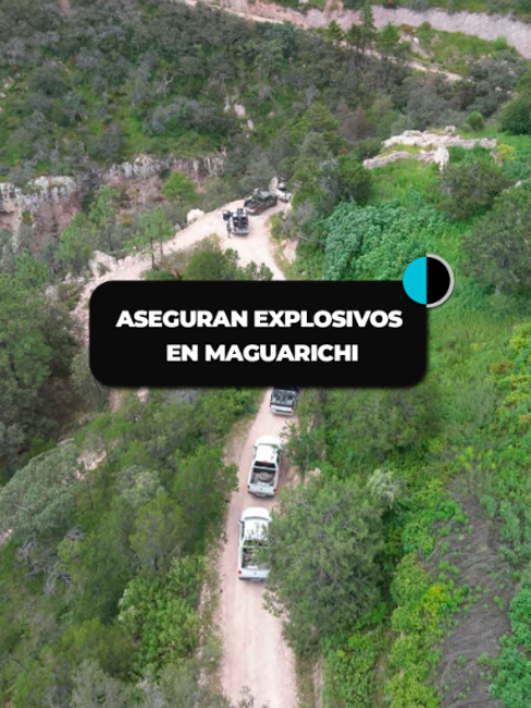 @canal44chihuahua
