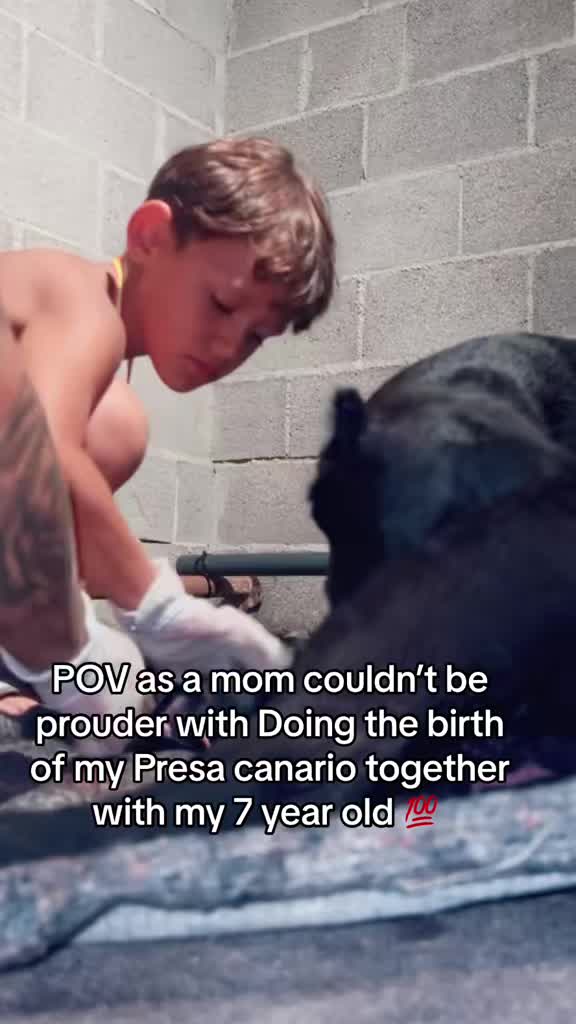 @Presacanario_bulldogfrances