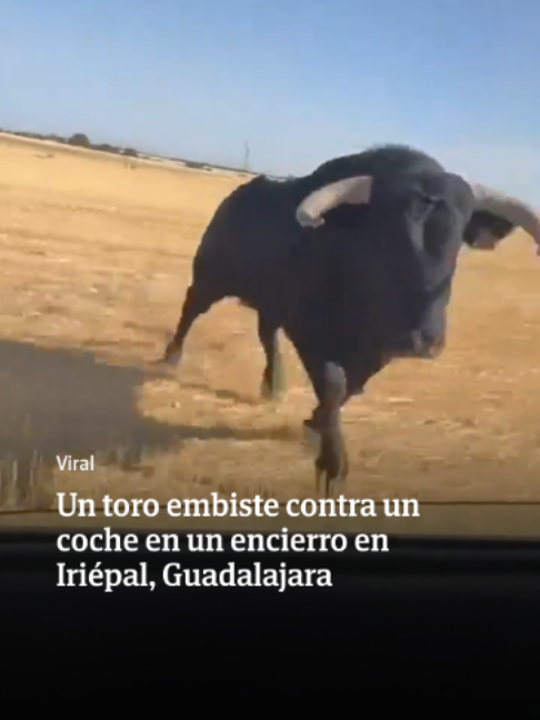 @El Diario Vasco