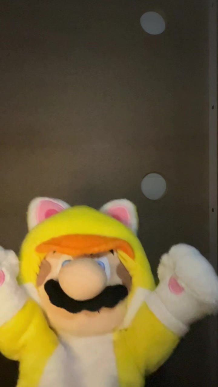 @✨Mario✨