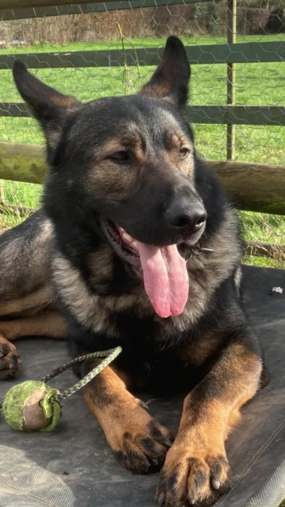 @Crazy GSD Lady