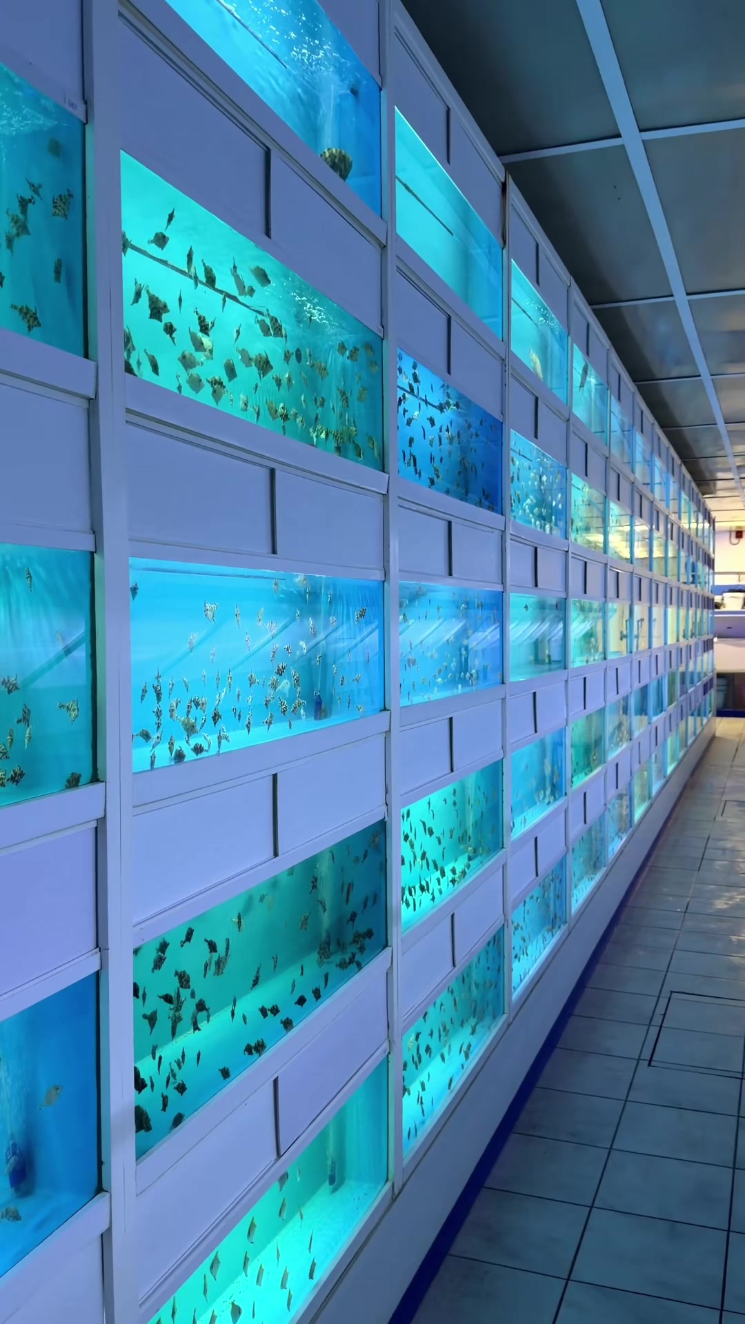 @Danny’s Aquariums