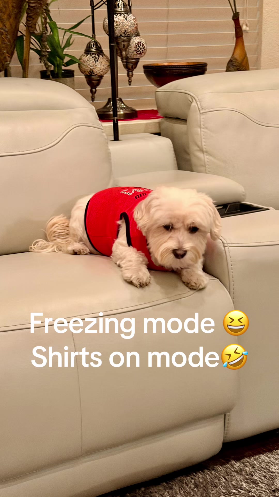 @Sunshine_Philip
