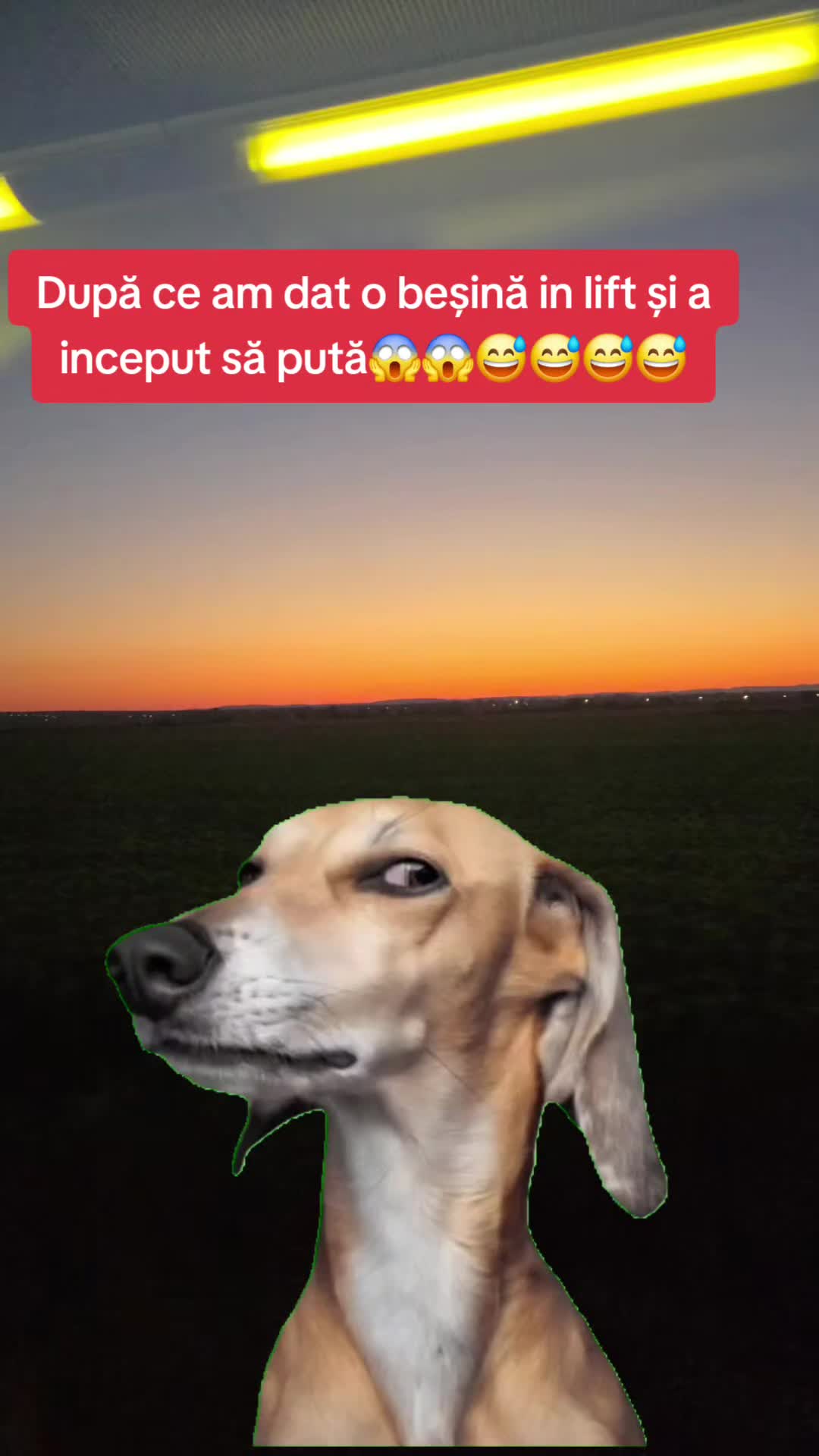 @Irimia Vasilică
