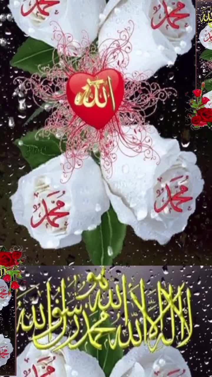 @🌹👑 AZIZKHAN MUSAKHEL👑🌹