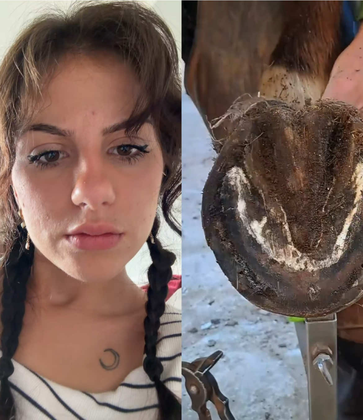 @ana
