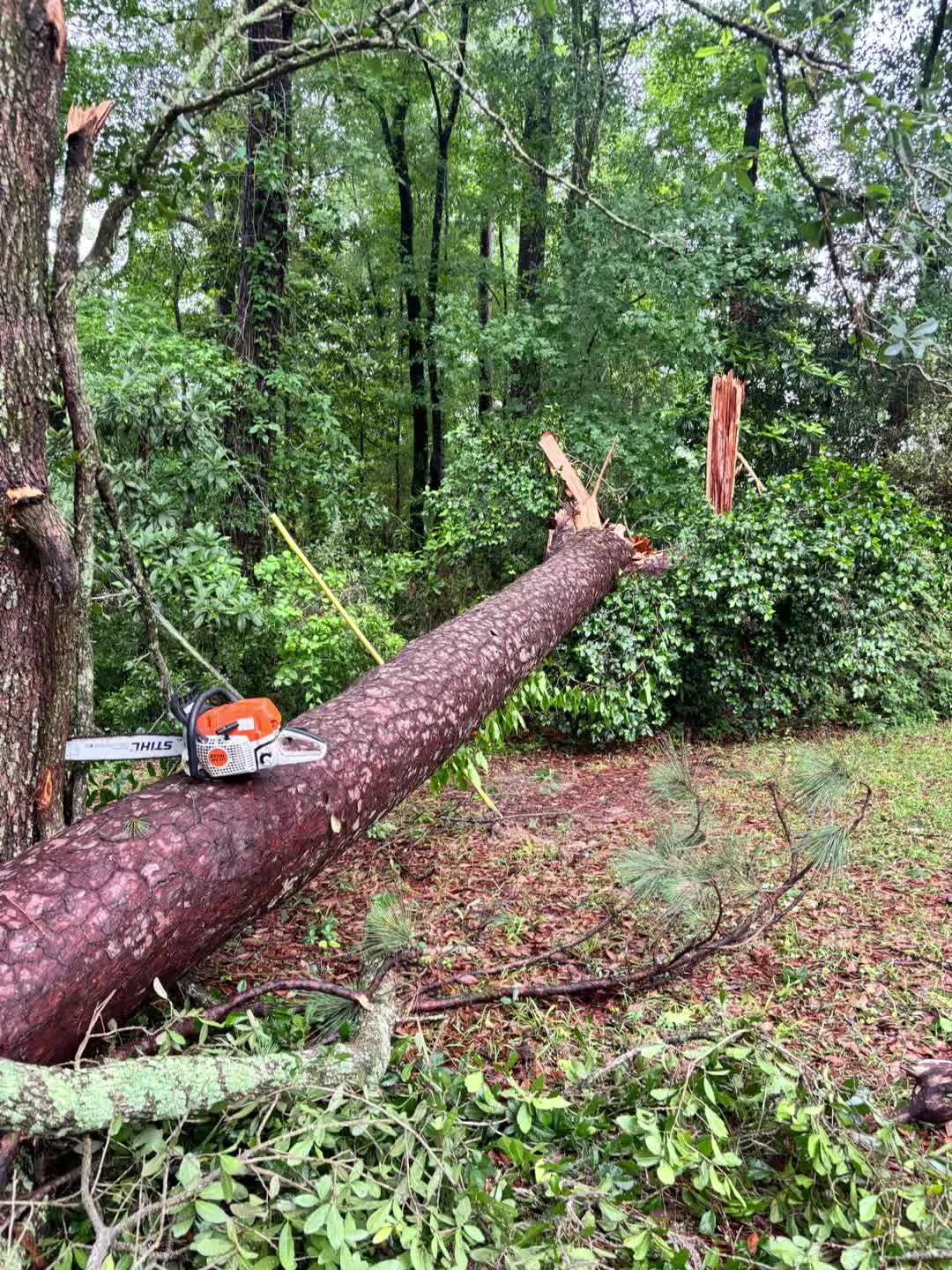 @CSR Tree Service, LLC.