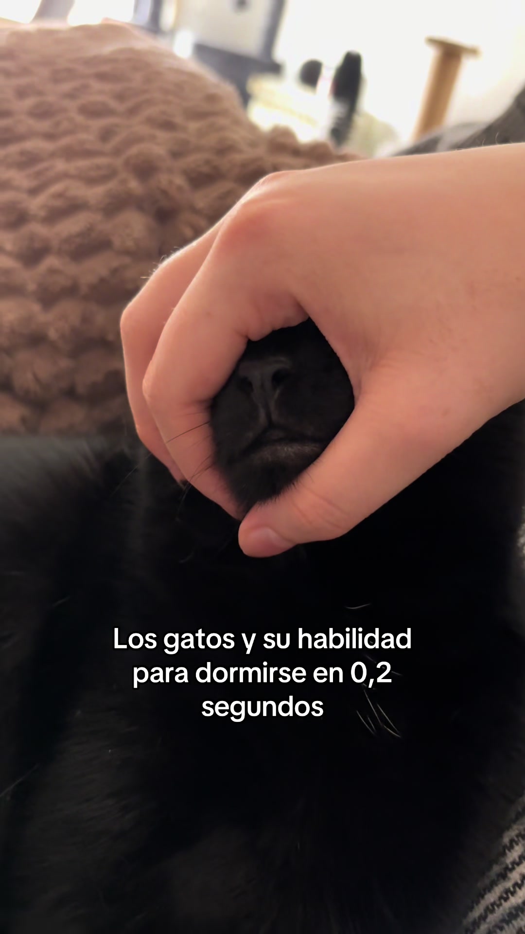 @BlackCatsMatter